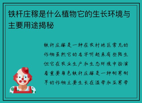 铁杆庄稼是什么植物它的生长环境与主要用途揭秘